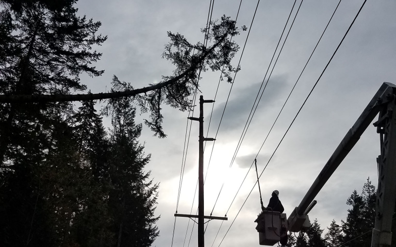 Tree has fallen on transmission lines