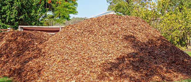 A pile of wood chips in a garden ready to be used for mulch in landscaping