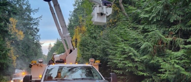 PUD crew removing trees and branches from distribution lines as a result of the storm