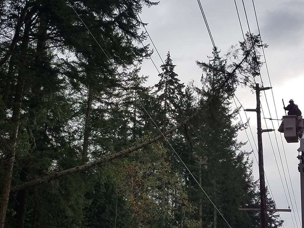 Why So Many Outages this Fall?