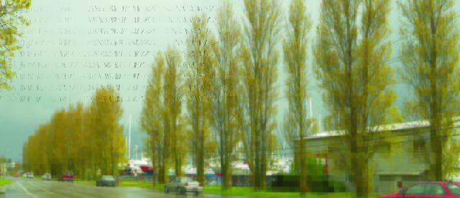 Photo of along Sims Way