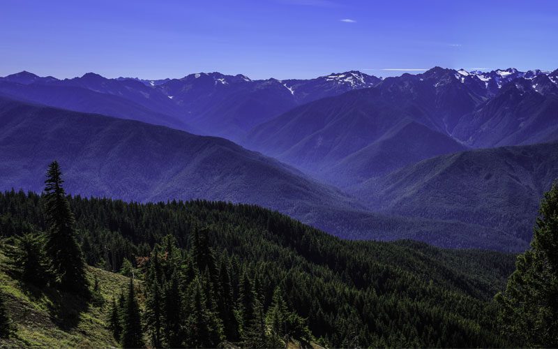 Aerial view of Hurricane Ridge