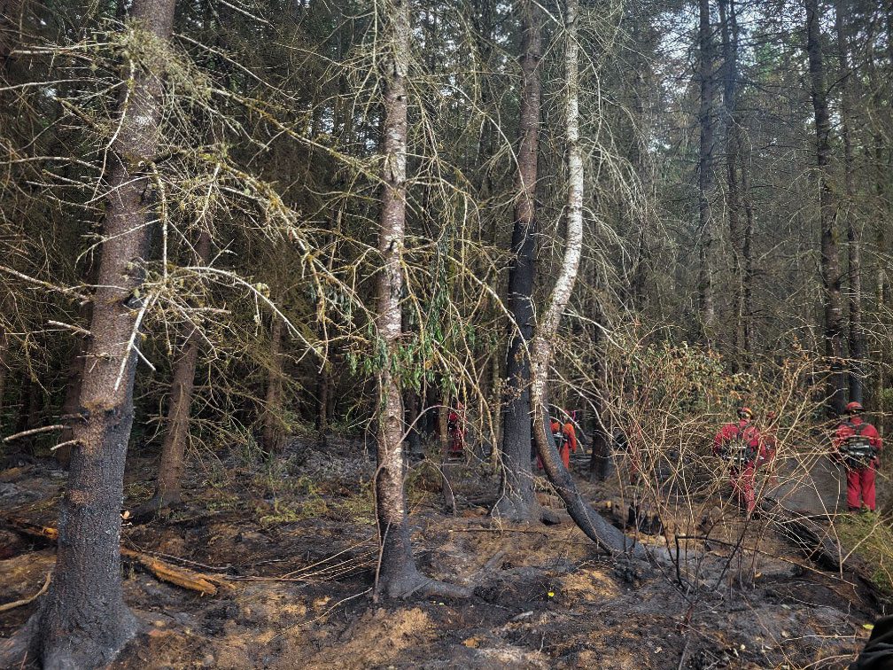 Images shows burned trees and undergrowth with fire crews in red suits clean up the area.