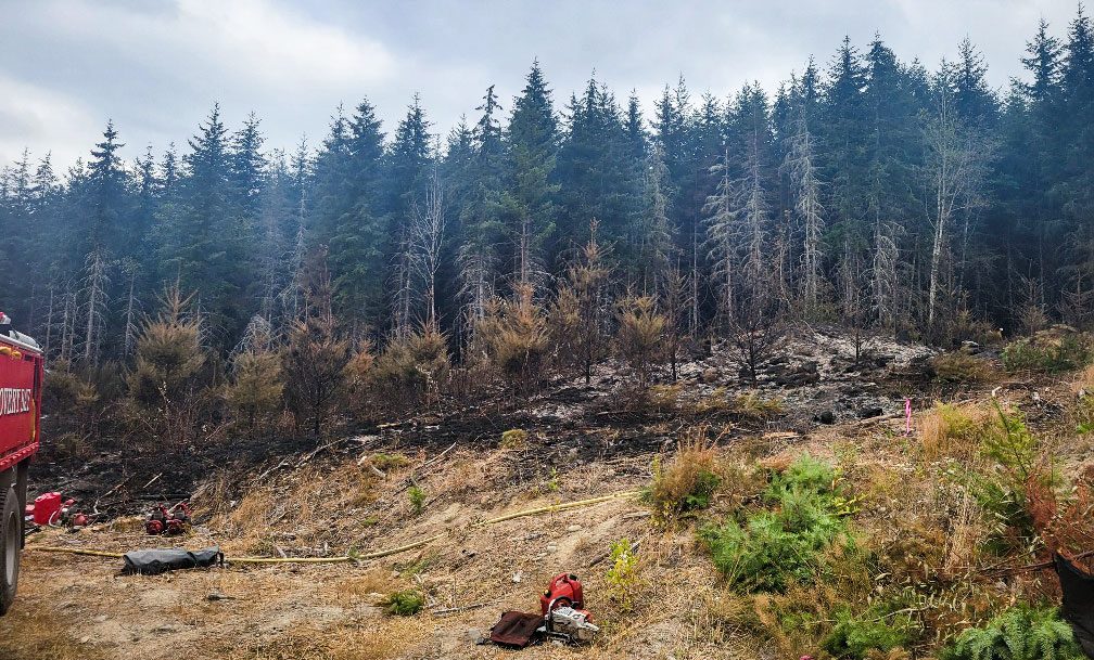 A dry grass and treed hillside where the fire burned from the road edge to the treelike in the distance. A red fire service water truck is in the left side of the photo.