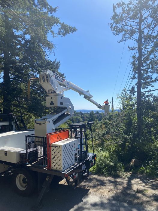 A tree trimmer in a bucket truck cuts branches away from power lines. The worker is working within the power buffer.