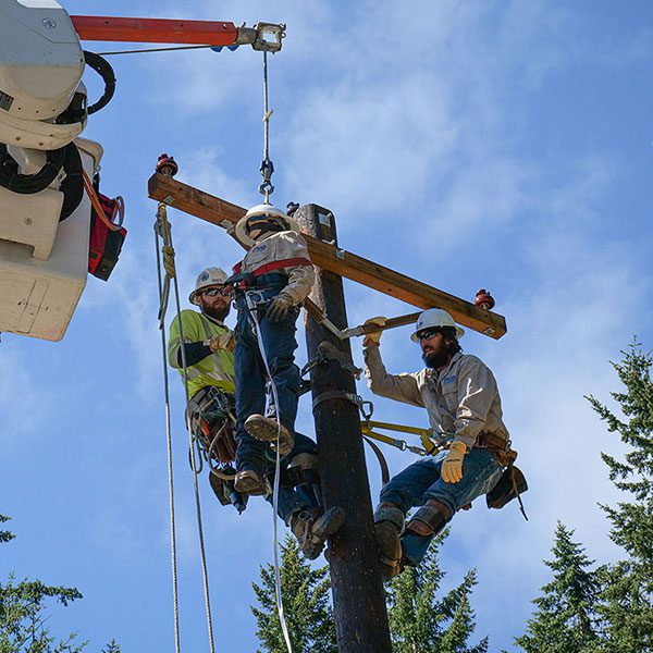 Linemen undergoing pole rescue training with test-dummy on utility pole