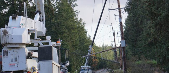 Linemen were dispatched to assess and clean up damage to the area, trees and utility poles have fallen on the road