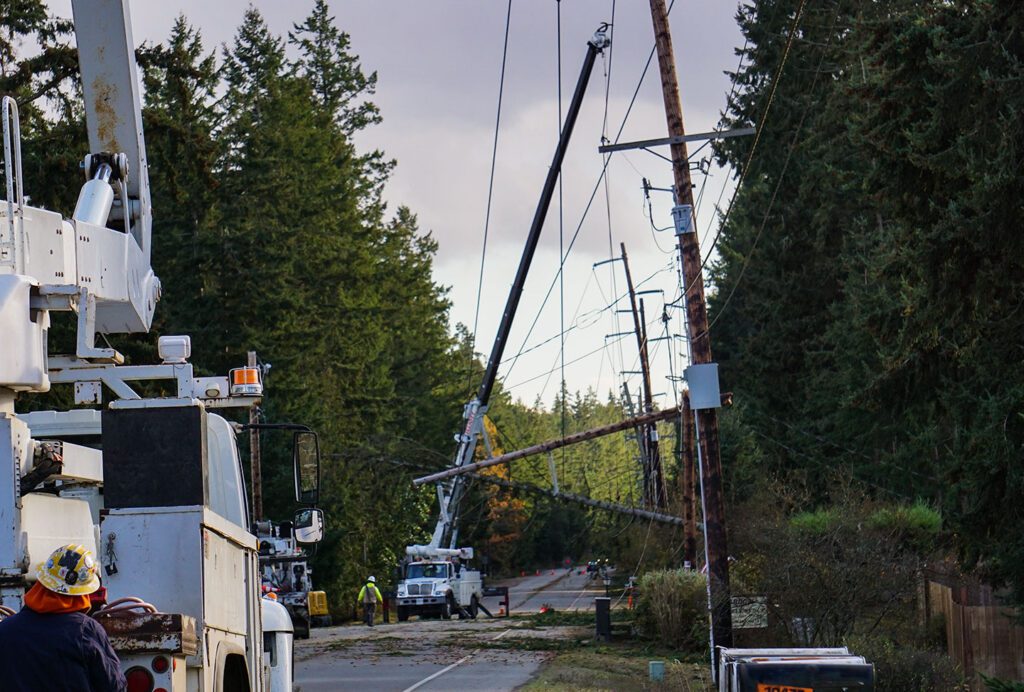 A large conifer tree destroyed a transmission pole near Anderson Lake Road in a recent Fall storm.