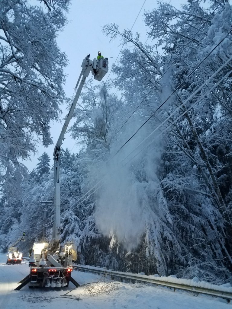 A PUD line worker removes a frozen tree branch from a distribution line.