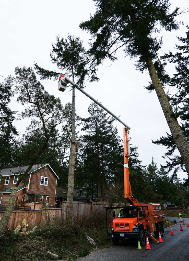 Trimmer in a bucket truck extended high up above Cook Ave in Port Townsend.