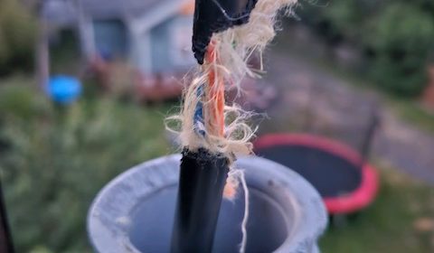 A fiber optic cable that has been chewed through by a squirrel