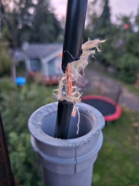 A squirrel damaged fiber optic cable.