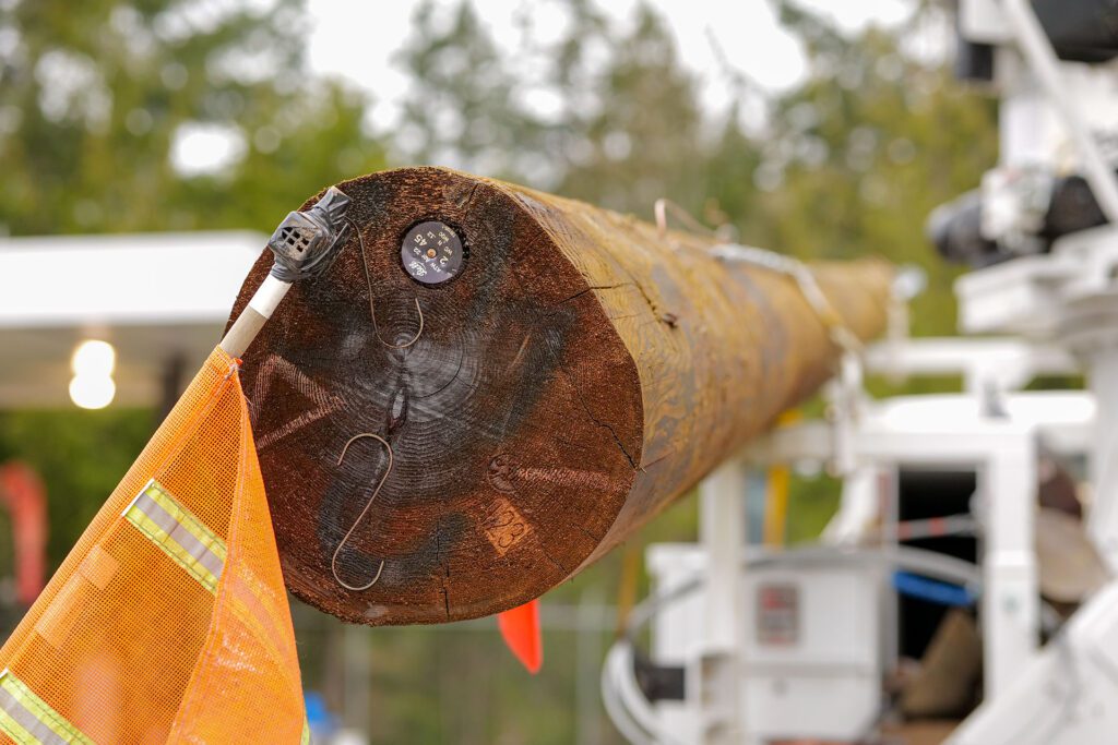 End of a utility pole with flagging on it.