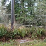 Transmission lines at base of pole off SR20.