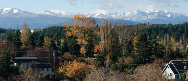 panoramic with trees, power lines, houses, and mountains