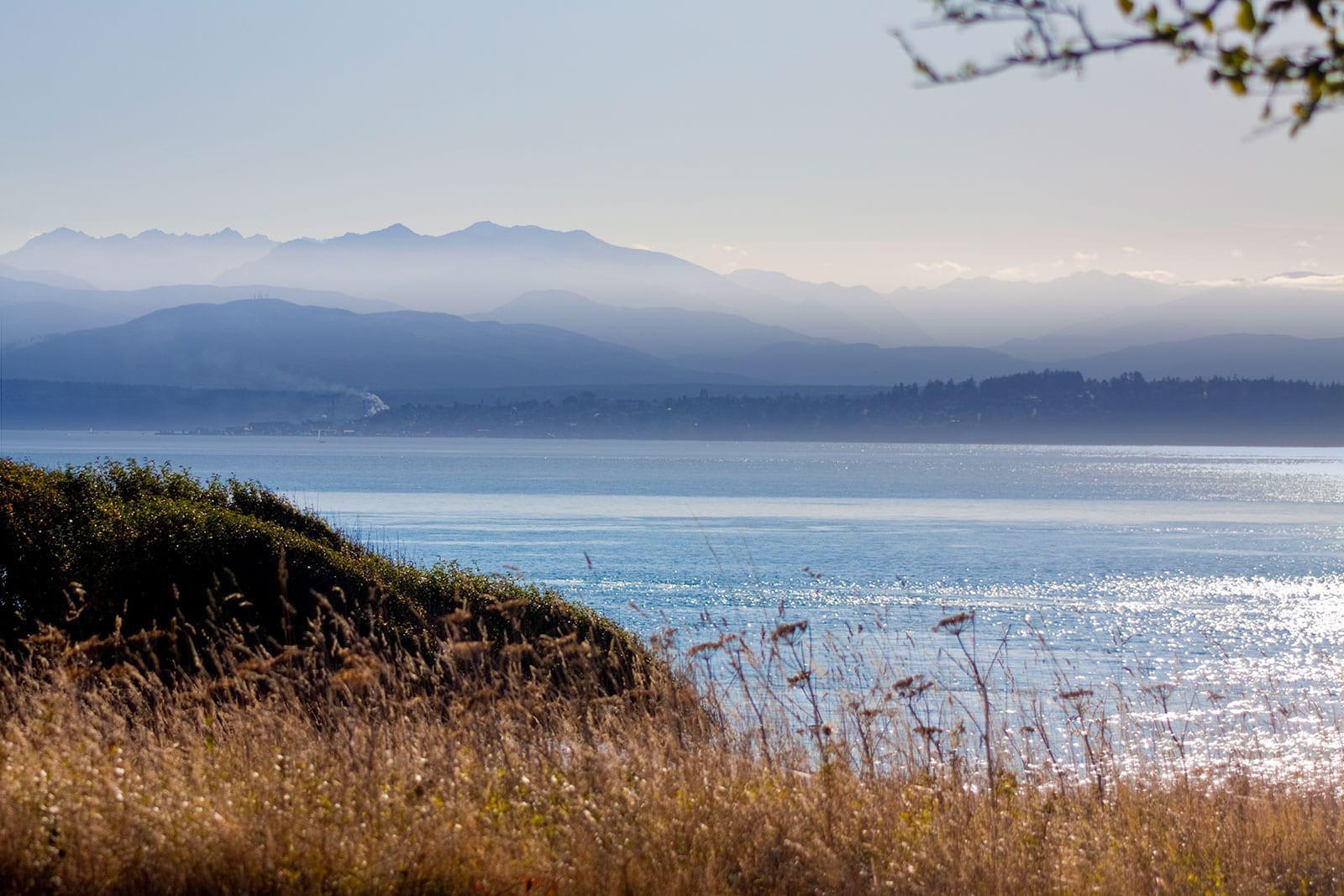 Sitting on the grass looking out at the Puget Sound and the mountains
